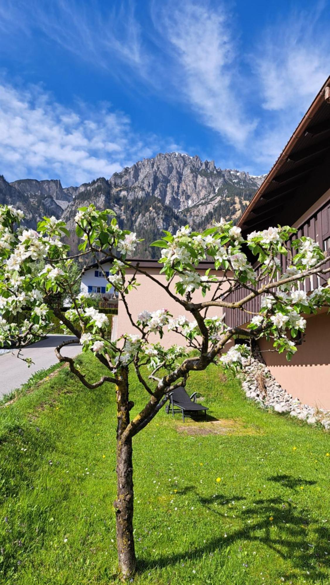 Baers Mountain Stay Ausserbraz Innerbraz Екстер'єр фото