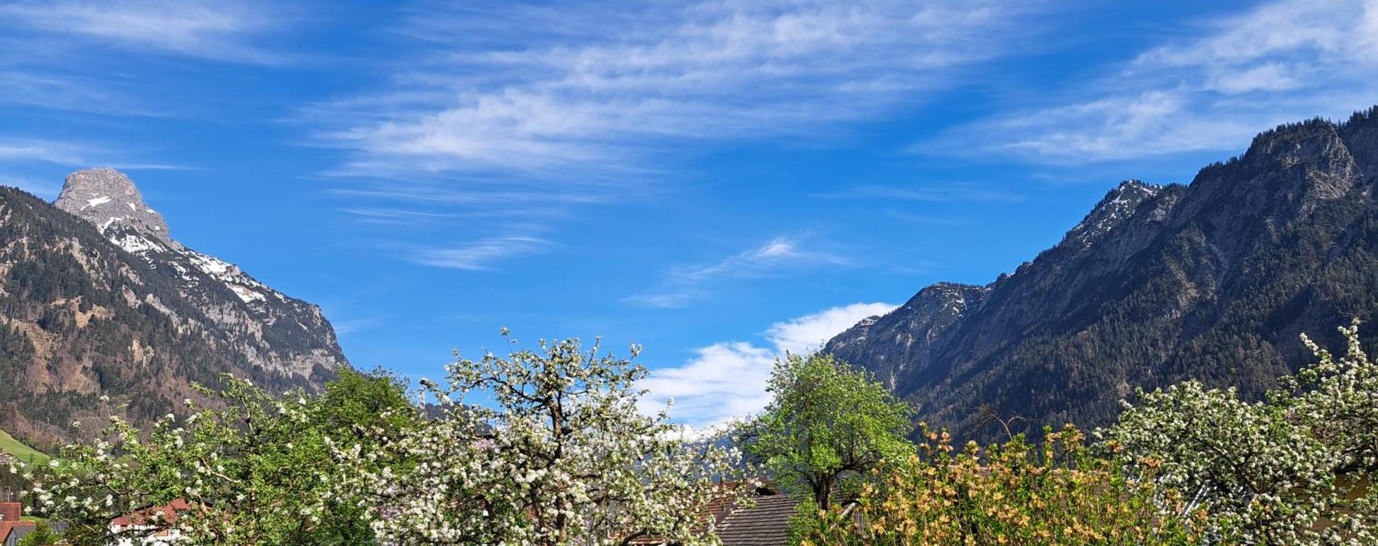 Baers Mountain Stay Ausserbraz Innerbraz Екстер'єр фото