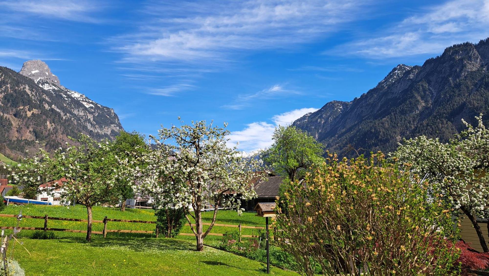 Baers Mountain Stay Ausserbraz Innerbraz Екстер'єр фото