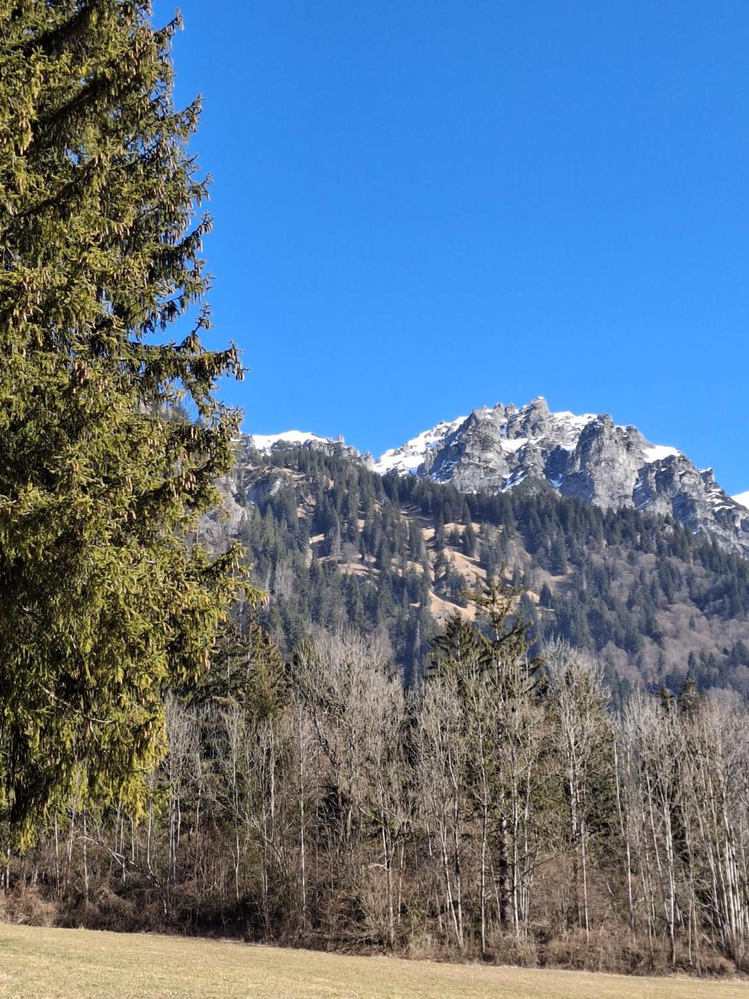 Baers Mountain Stay Ausserbraz Innerbraz Екстер'єр фото